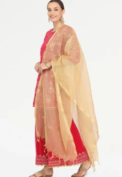 Embroidered Velvet Lehenga in Pink