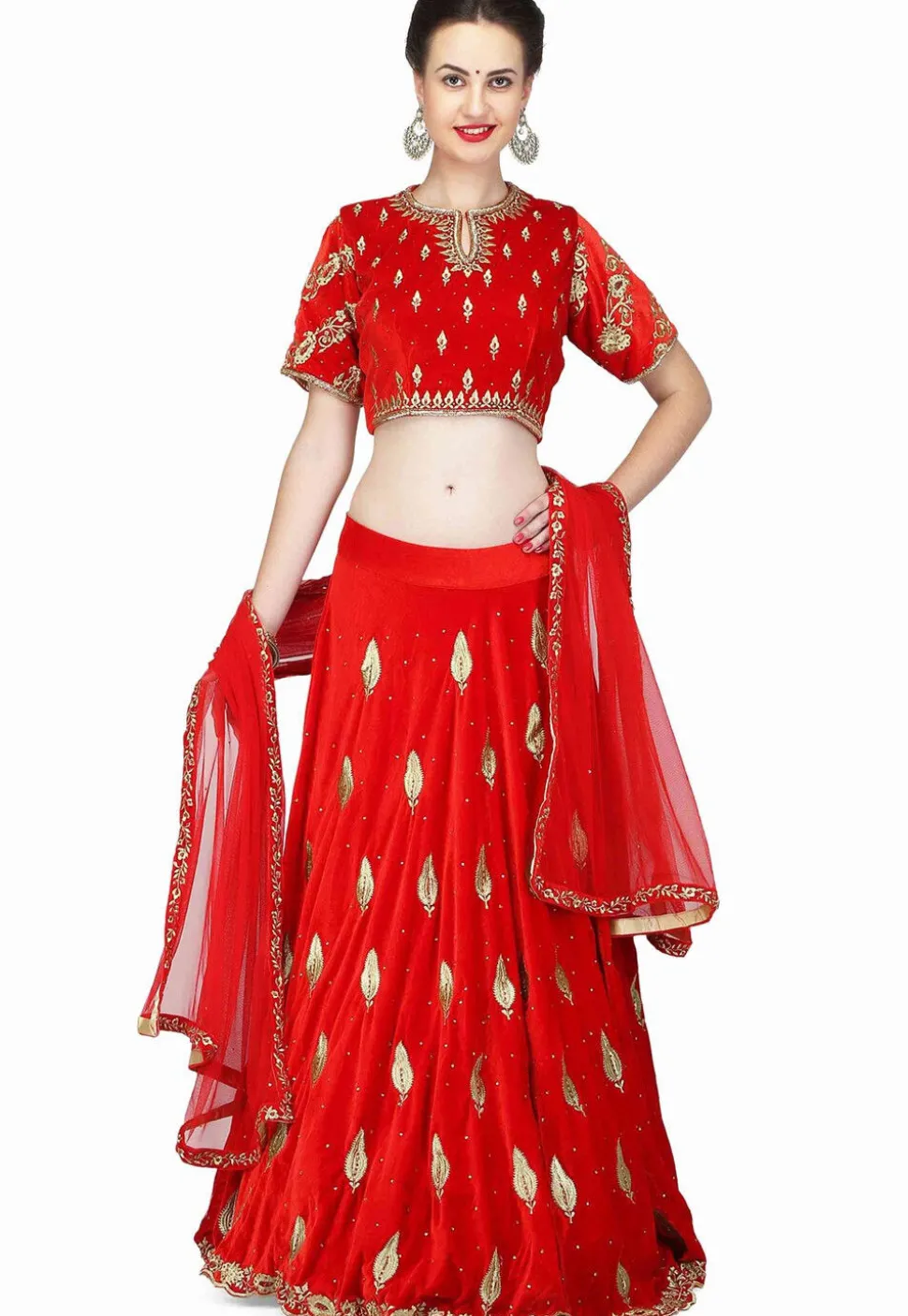 Embroidered Velvet Lehenga in Red