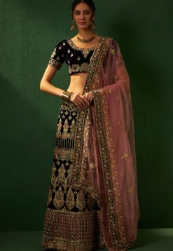 Embroidered Velvet Lehenga in Blue