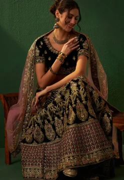 Embroidered Velvet Lehenga in Blue