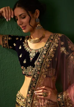 Embroidered Velvet Lehenga in Blue