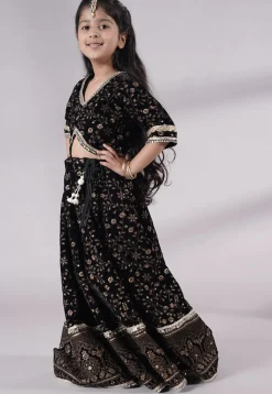 Embroidered Velvet Lehenga in Black
