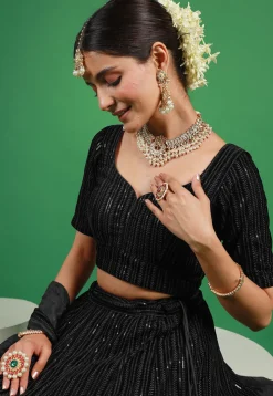 Embroidered Velvet Lehenga in Black