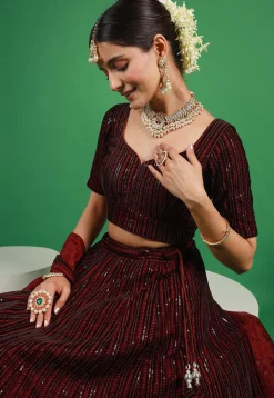 Embroidered Velvet Lehenga in Maroon