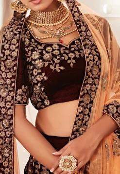 Embroidered Velvet Lehenga in Maroon