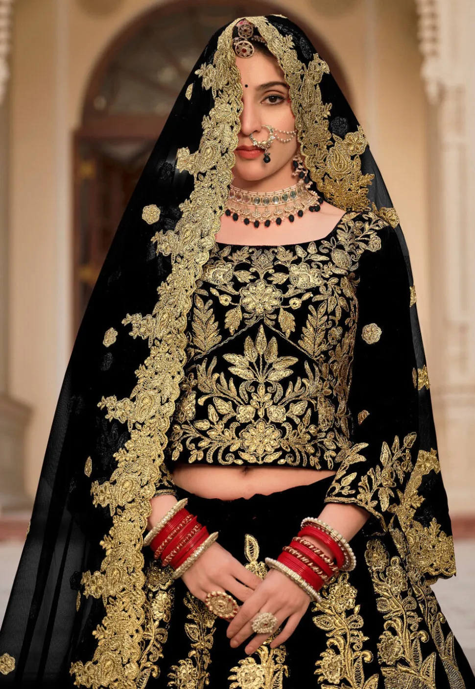 Embroidered Velvet Lehenga in Black