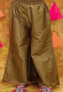 Embroidered Velvet Pakistani Suit in Maroon