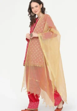 Embroidered Velvet Punjabi Suit in Fuchsia