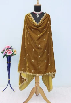 Embroidered Velvet Scalloped Dupatta in Beige