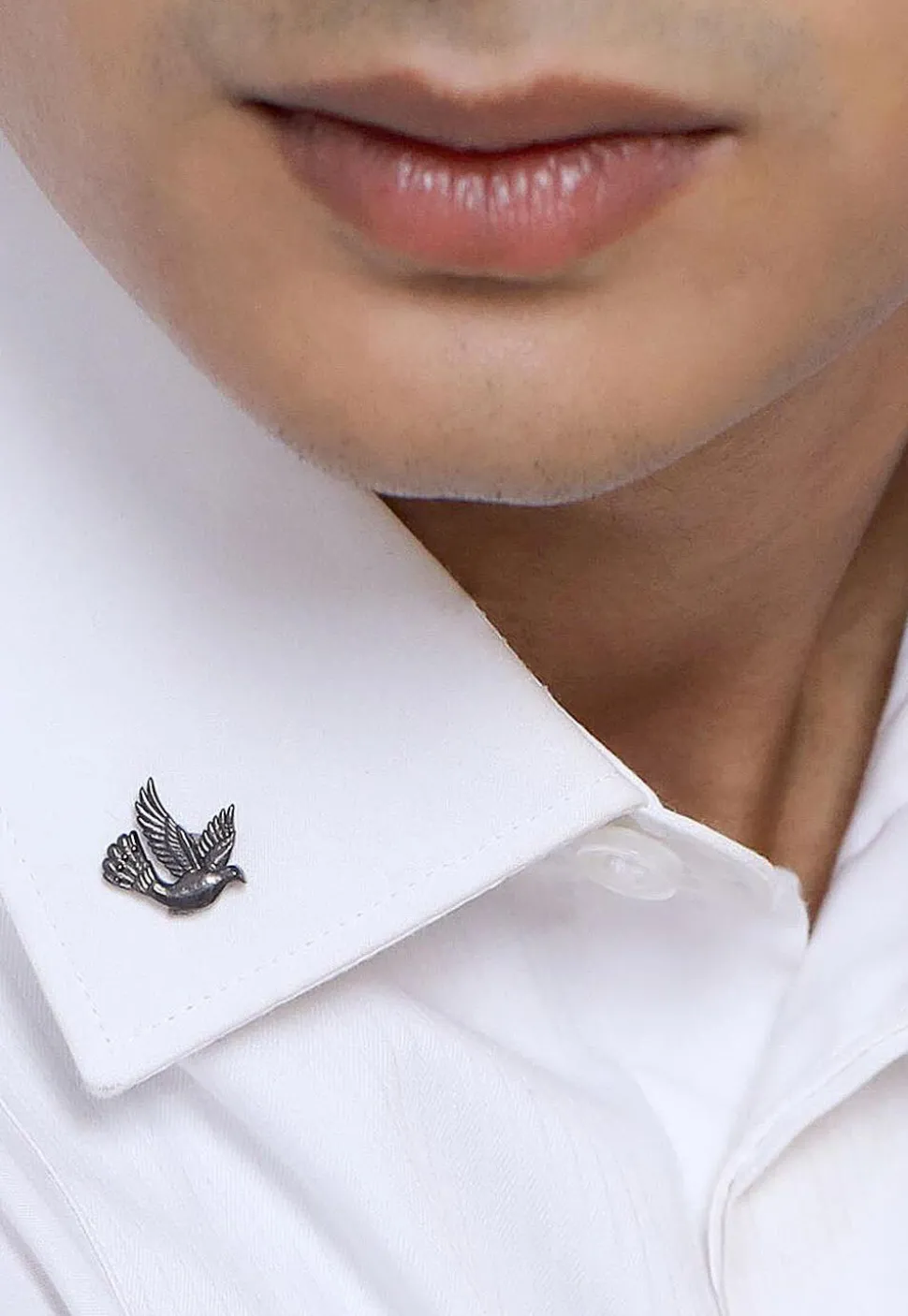 Flying Bird Metallic Collar Tips