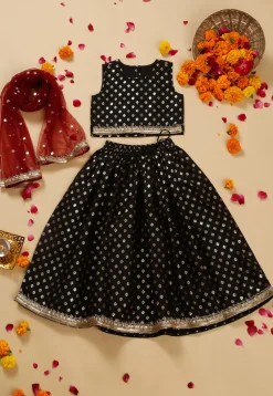 Foil Printed Cotton Lehenga in Black