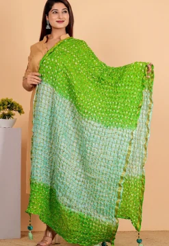 Ghatchola Dupatta in Light Green and Sea Green