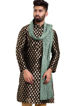 Glittered Crushed Tissue Men Stole in Sea Green