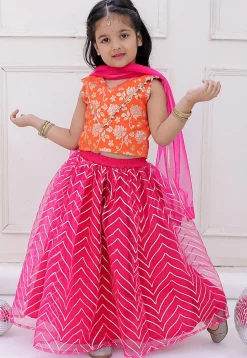 Gota Embellished Net Lehenga in Fuchsia
