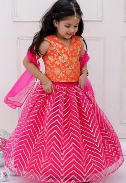 Gota Embellished Net Lehenga in Fuchsia