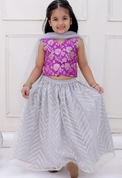Gota Embellished Net Lehenga in Grey