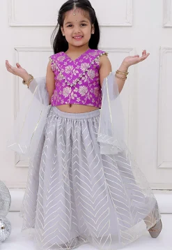 Gota Embellished Net Lehenga in Grey
