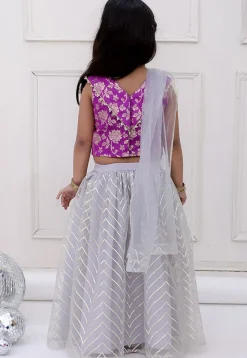 Gota Embellished Net Lehenga in Grey