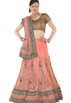 Gota Patti Net Circular Lehenga in Peach