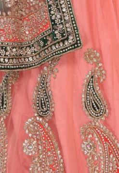 Gota Patti Net Circular Lehenga in Peach