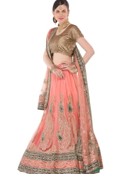 Gota Patti Net Circular Lehenga in Peach