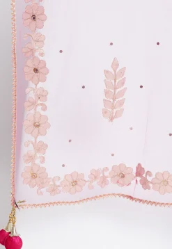 Gota Patti Net Dupatta in Pink