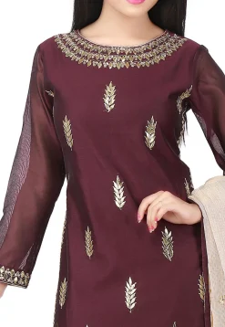 Hand Embroidered Chanderi Cotton Straight Suit in Brown