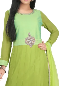 Hand Embroidered Georgette Abaya Style Suit in Light Green