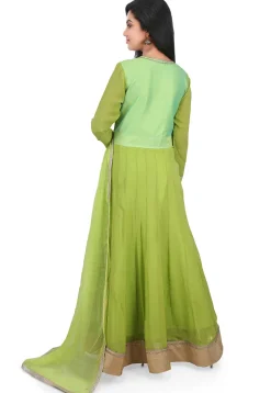 Hand Embroidered Georgette Abaya Style Suit in Light Green