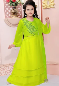 Hand Embroidered Georgette Lehenga in Light Green