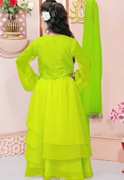 Hand Embroidered Georgette Lehenga in Light Green