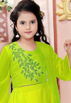 Hand Embroidered Georgette Lehenga in Light Green