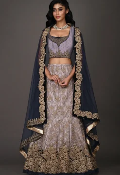 Hand Embroidered Net Lehenga in Grey