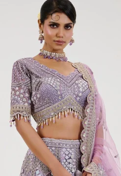 Hand Embroidered Net Lehenga in Light Purple