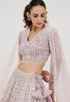 Hand Embroidered Net Lehenga in Light Purple