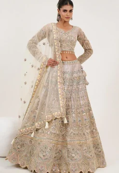 Hand Embroidered Net Lehenga in Off White