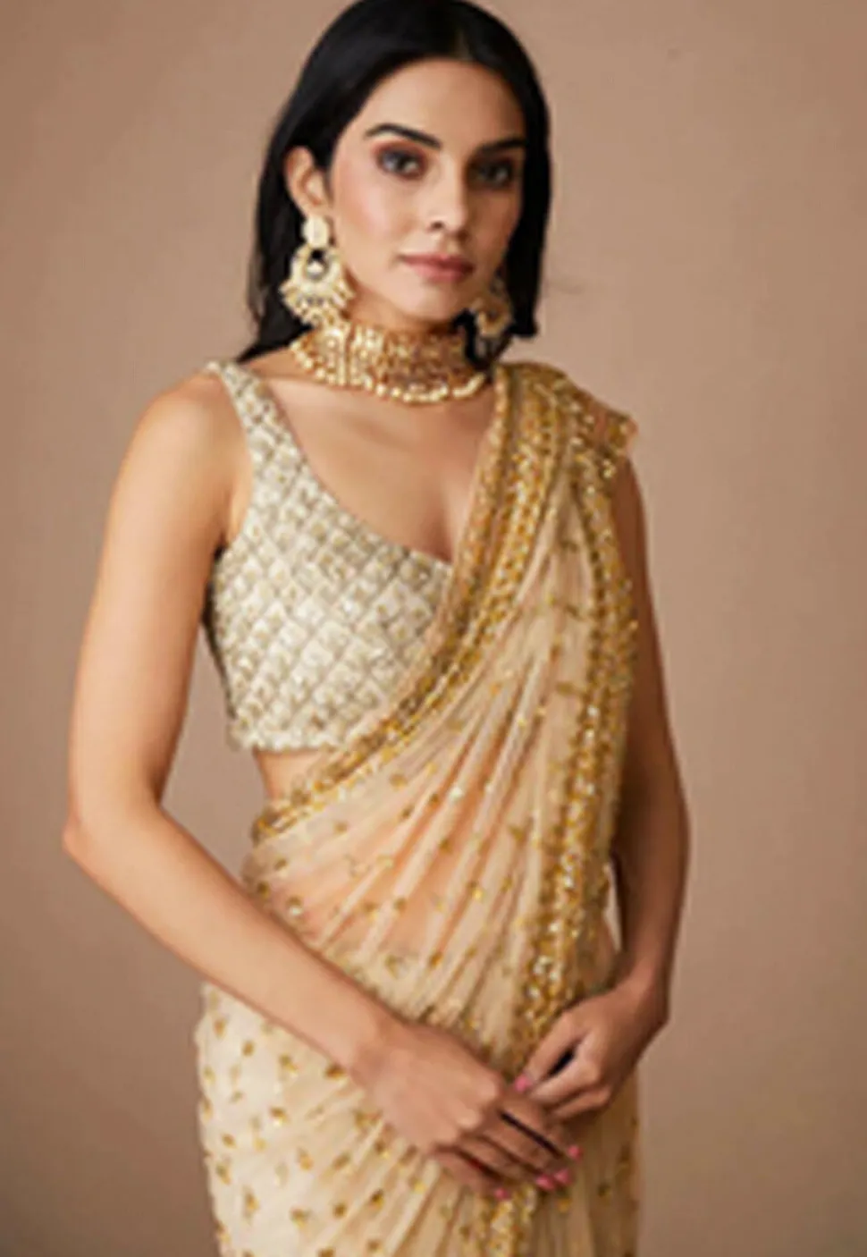 Hand Embroidered Net Saree in Dark Beige