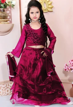 Hand Embroidered Organza Lehenga in Maroon