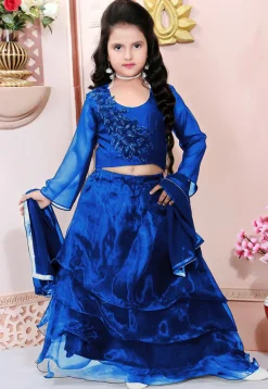 Hand Embroidered Organza Lehenga in Blue