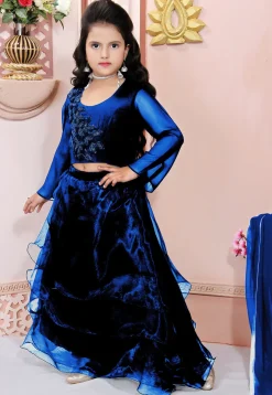 Hand Embroidered Organza Lehenga in Blue