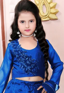 Hand Embroidered Organza Lehenga in Blue