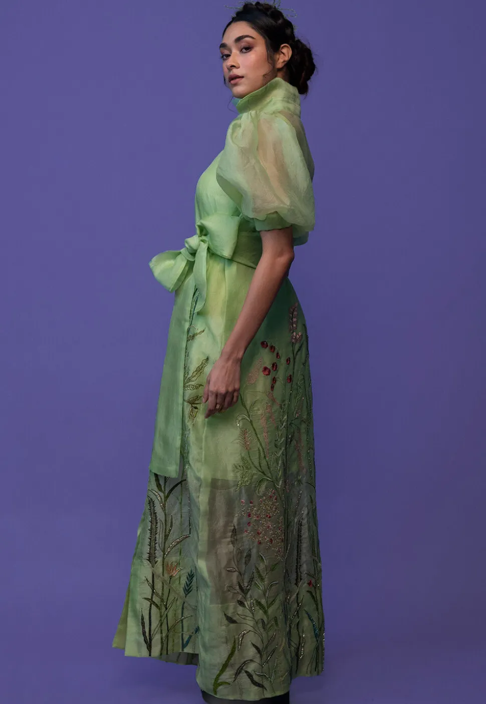 Hand Embroidered Pure Organza and Pure Crepe Maxi Dress in Pastel Green