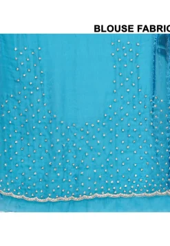 Hand Embroidered Tissue Silk Saree in Teal Blue