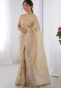 Hand Embroidered Tissue Saree in Beige