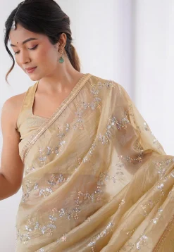 Hand Embroidered Tissue Saree in Beige