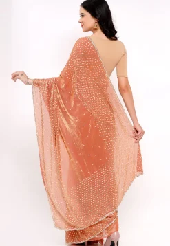 Hand Embroidered Tissue Silk Saree in Pastel Orange