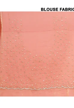 Hand Embroidered Tissue Silk Saree in Pastel Orange