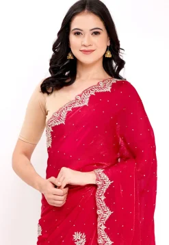 Hand Embroidered Tissue Silk Saree in Fuchsia