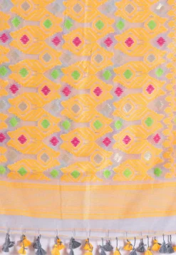 Handloom Cotton Saree in Light Blue
