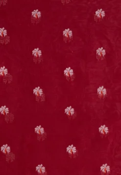 Handloom Cotton Saree in Maroon